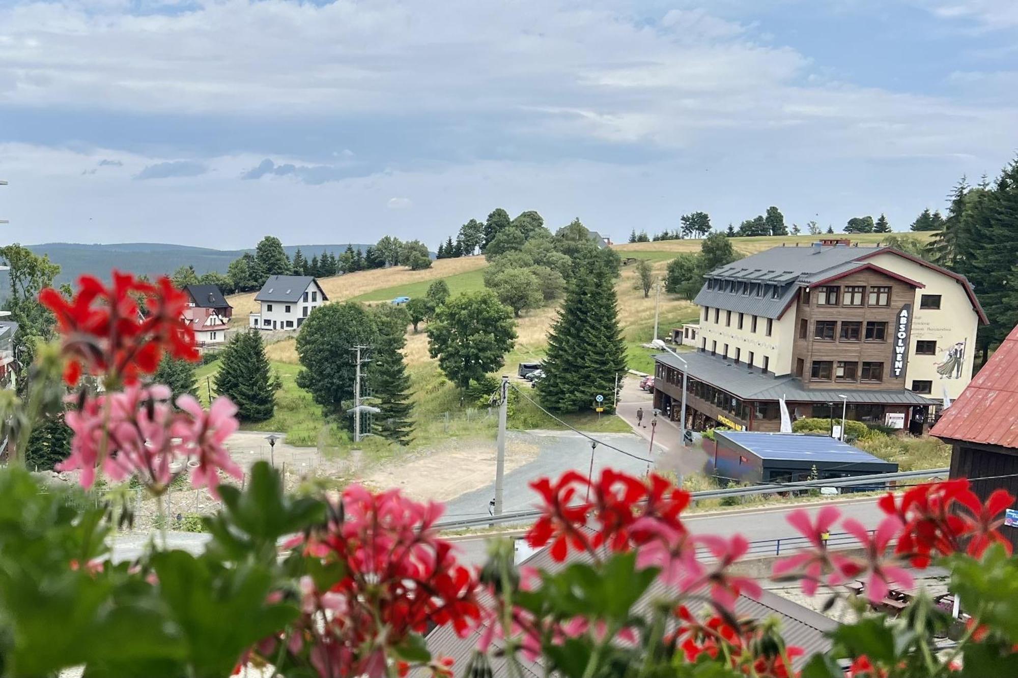 Alpejski Zieleniec ジェレニエツ エクステリア 写真